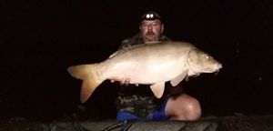 Mirror Carp