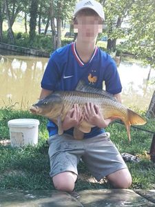Common Carp