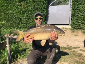 Mirror Carp