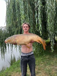 Mirror Carp