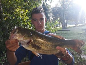 Largemouth Bass