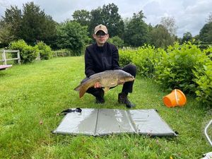 Common Carp