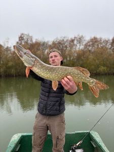 Northern Pike
