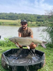 Grass Carp