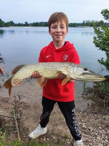 Northern Pike
