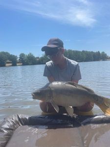 Mirror Carp