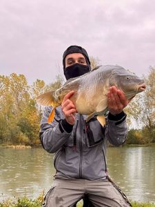 Mirror Carp