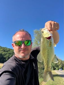 Largemouth Bass