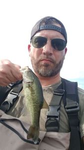 Largemouth Bass