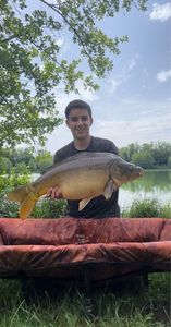 Mirror Carp
