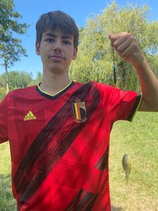 Green Sunfish