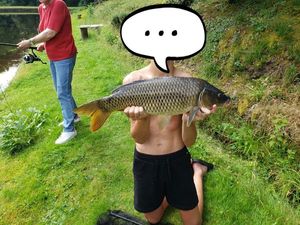 Common Carp
