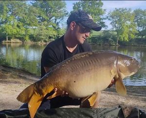 Mirror Carp