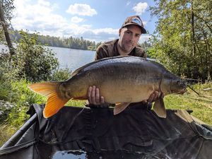 Mirror Carp