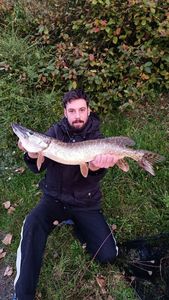 Northern Pike