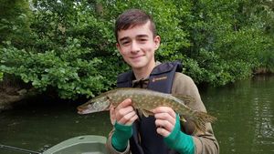 Northern Pike