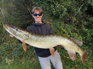 Northern Pike
