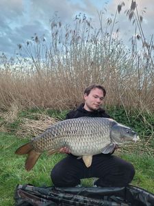 Common Carp