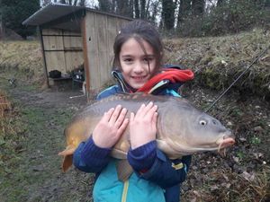 Mirror Carp