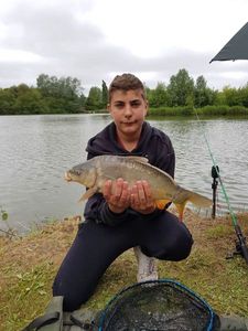 Mirror Carp