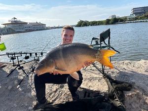 Mirror Carp