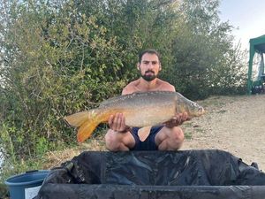 Mirror Carp