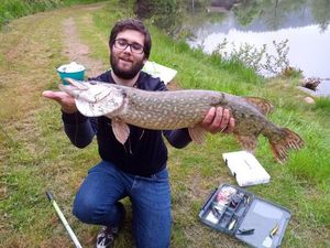 Northern Pike