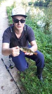 European Perch