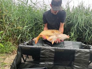 Leather Carp