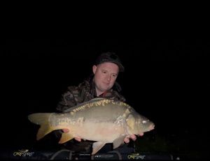 Mirror Carp