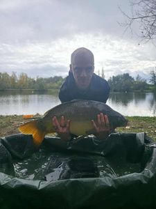 Mirror Carp