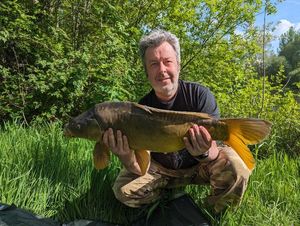 Mirror Carp