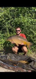 Mirror Carp