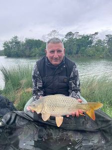 Common Carp
