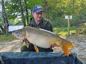 Mirror Carp