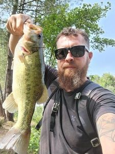 Largemouth Bass