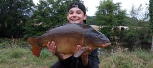 Mirror Carp