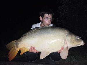Mirror Carp