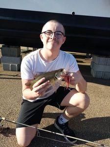 Largemouth Bass