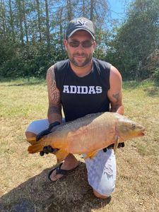 Mirror Carp