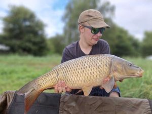 Common Carp