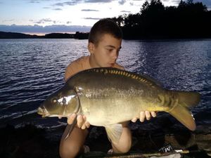 Mirror Carp