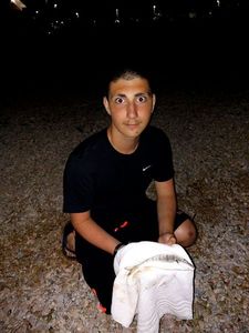 Sand Steenbras