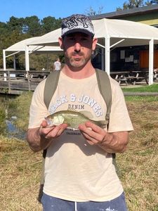 Largemouth Bass