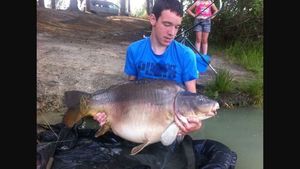 Mirror Carp