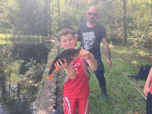 European Perch