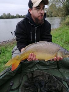 Mirror Carp