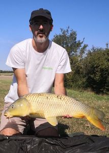 Common Carp