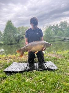 Mirror Carp