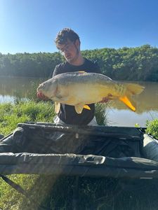 Leather Carp